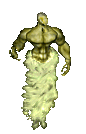 Imp