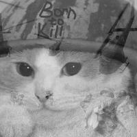 Imp