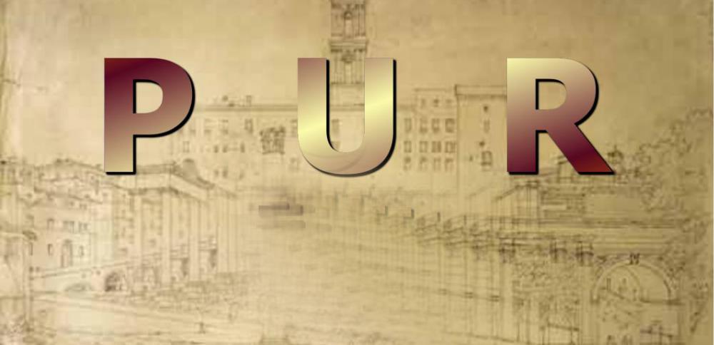 PUR - Potestas Ultima Ratio